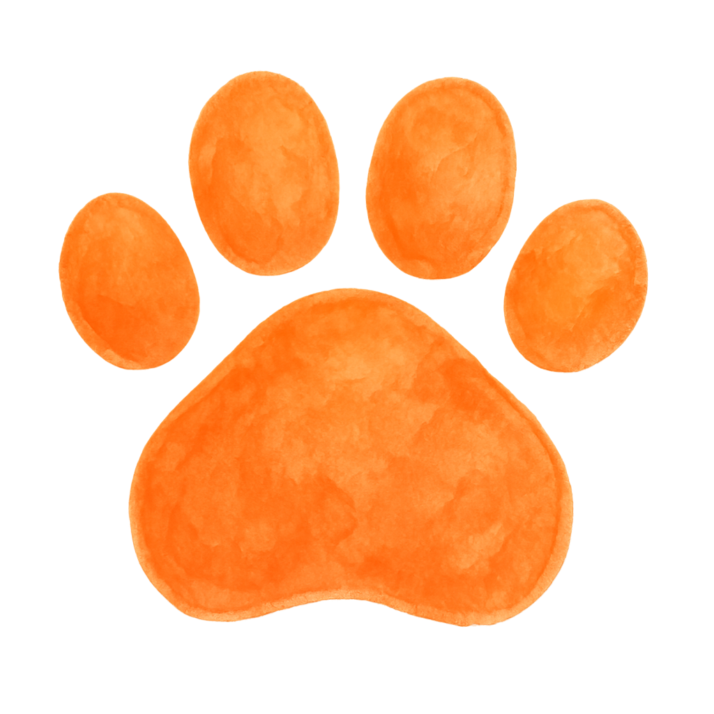 Small primary color paw print