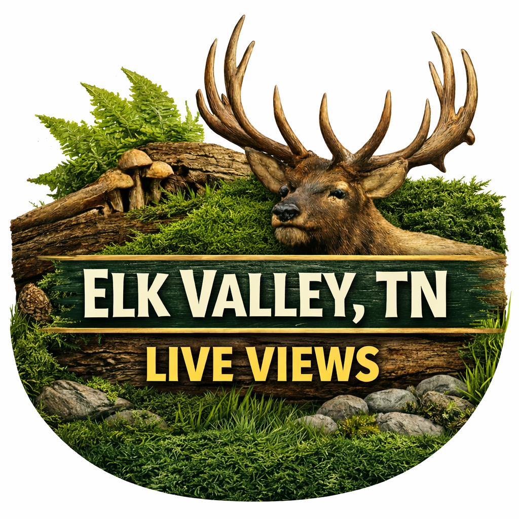 Added by user manually