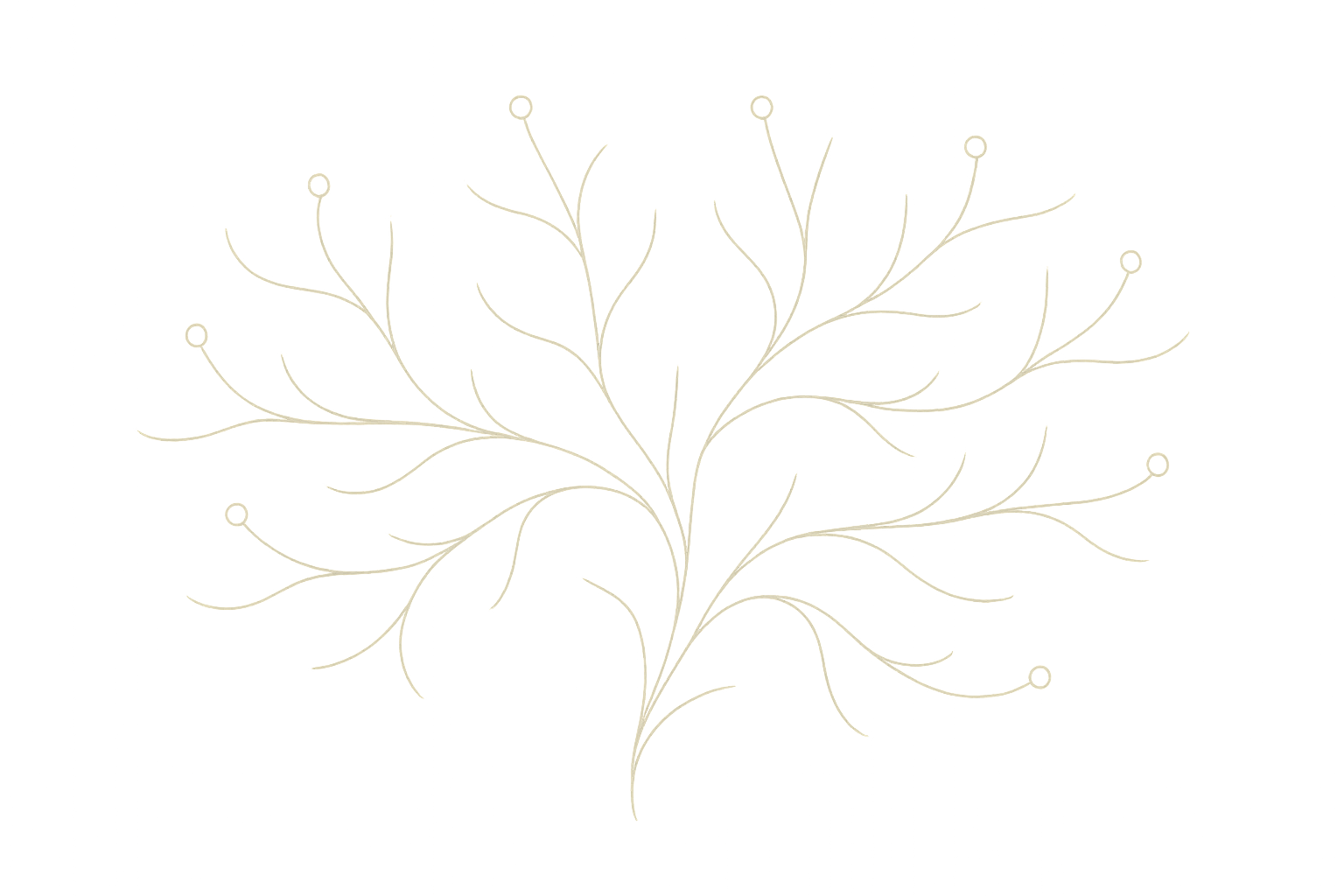 Soft abstract branching line illustration placed behind the hero message to evoke family lineage