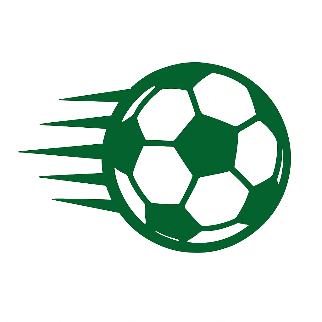 Fast shipping football icon