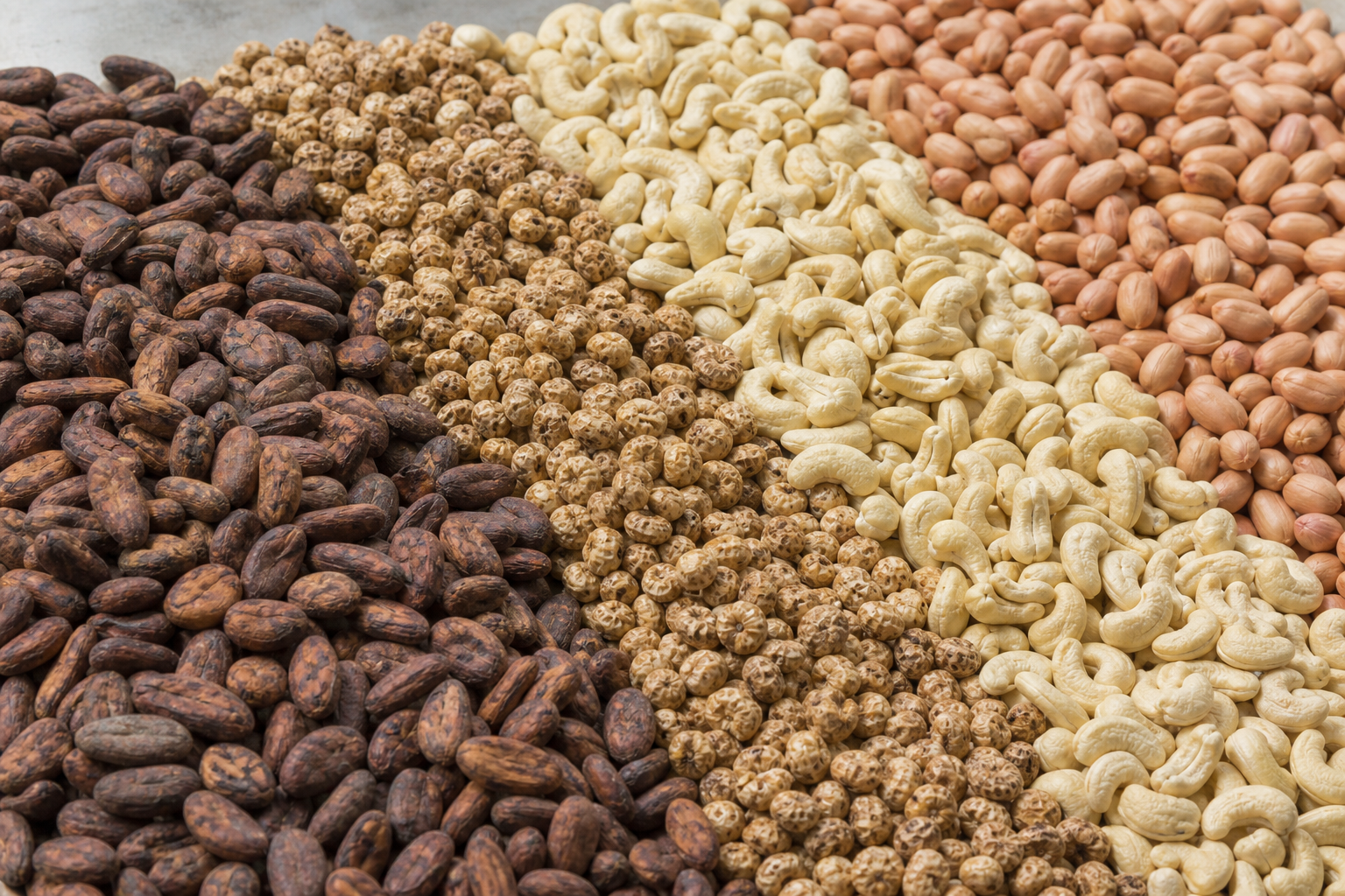 Close-up of export-grade agricultural commodities including cocoa beans, tiger nuts, and cashew kernels in clean sorted batches