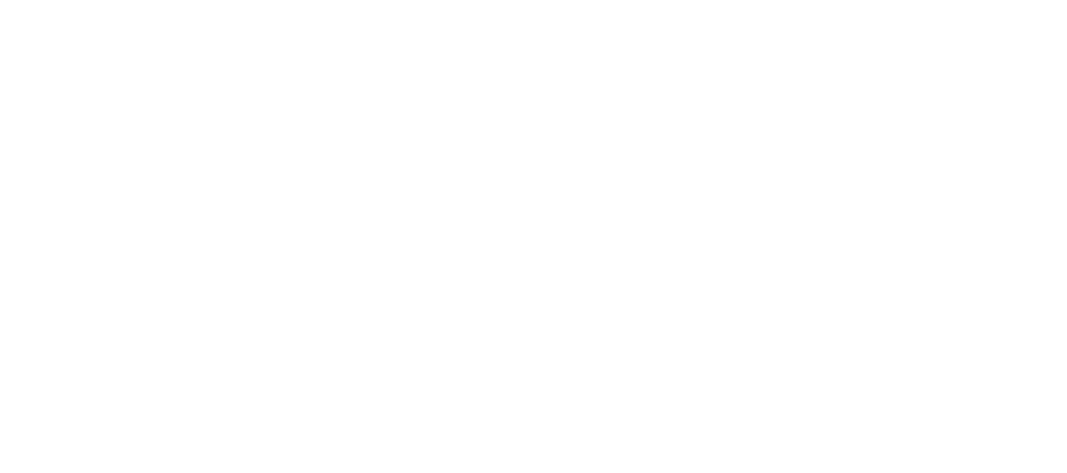 Flymya logo