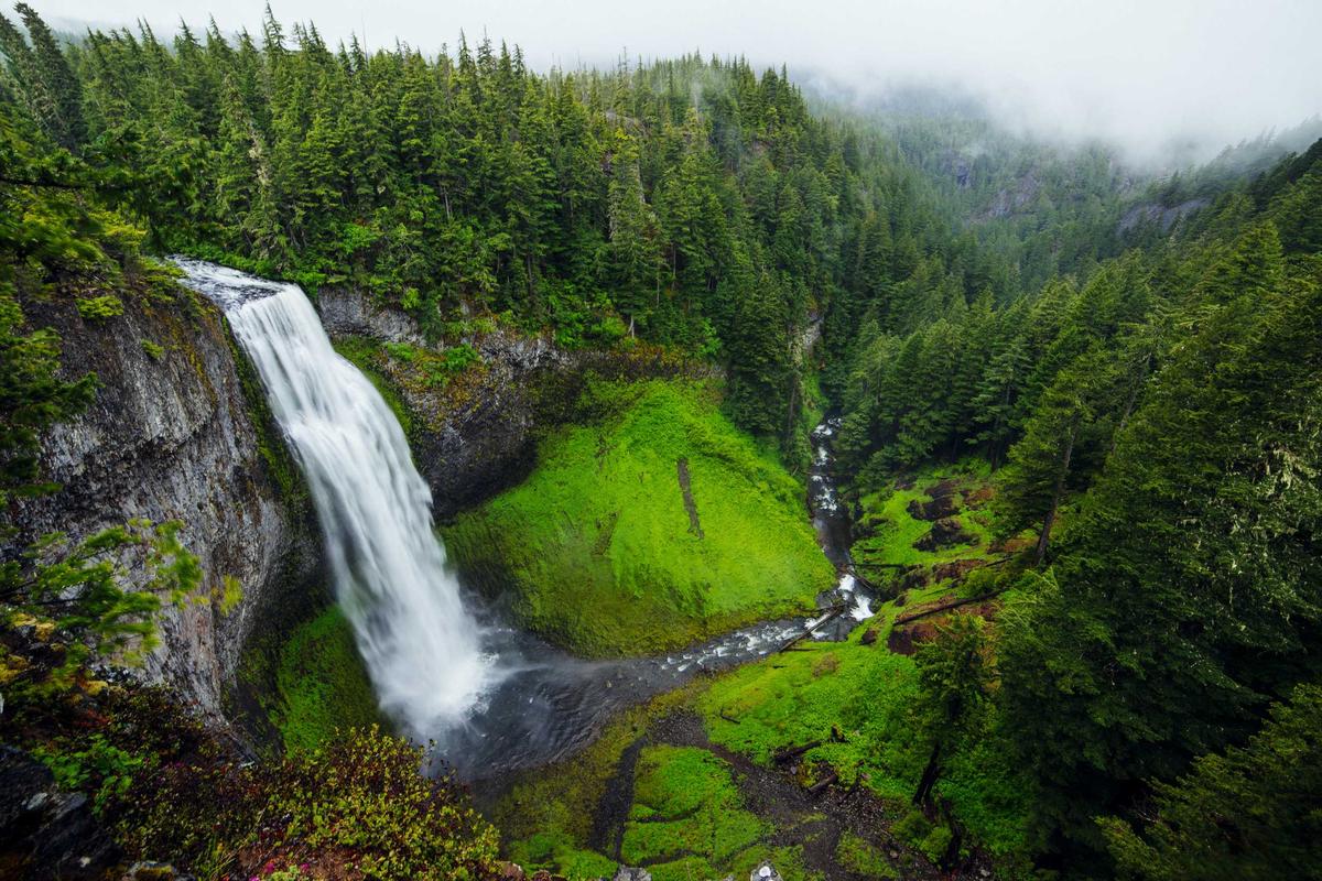 Waterfall pouring through a lush green forest