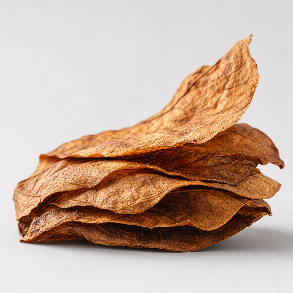 Refined studio photograph of layered tobacco leaves with warm amber tones and soft highlights on a pale gray background