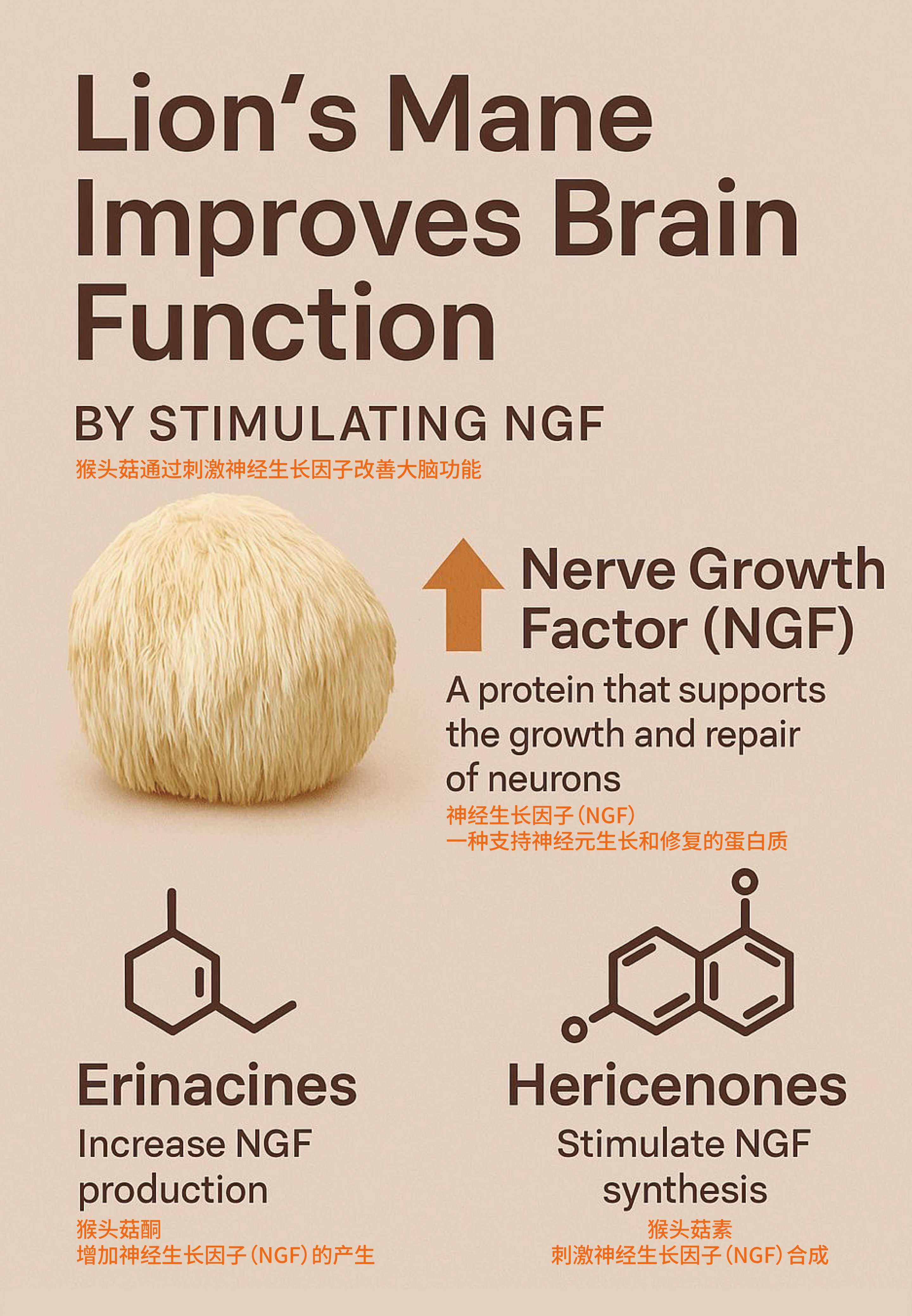 Added by user manually