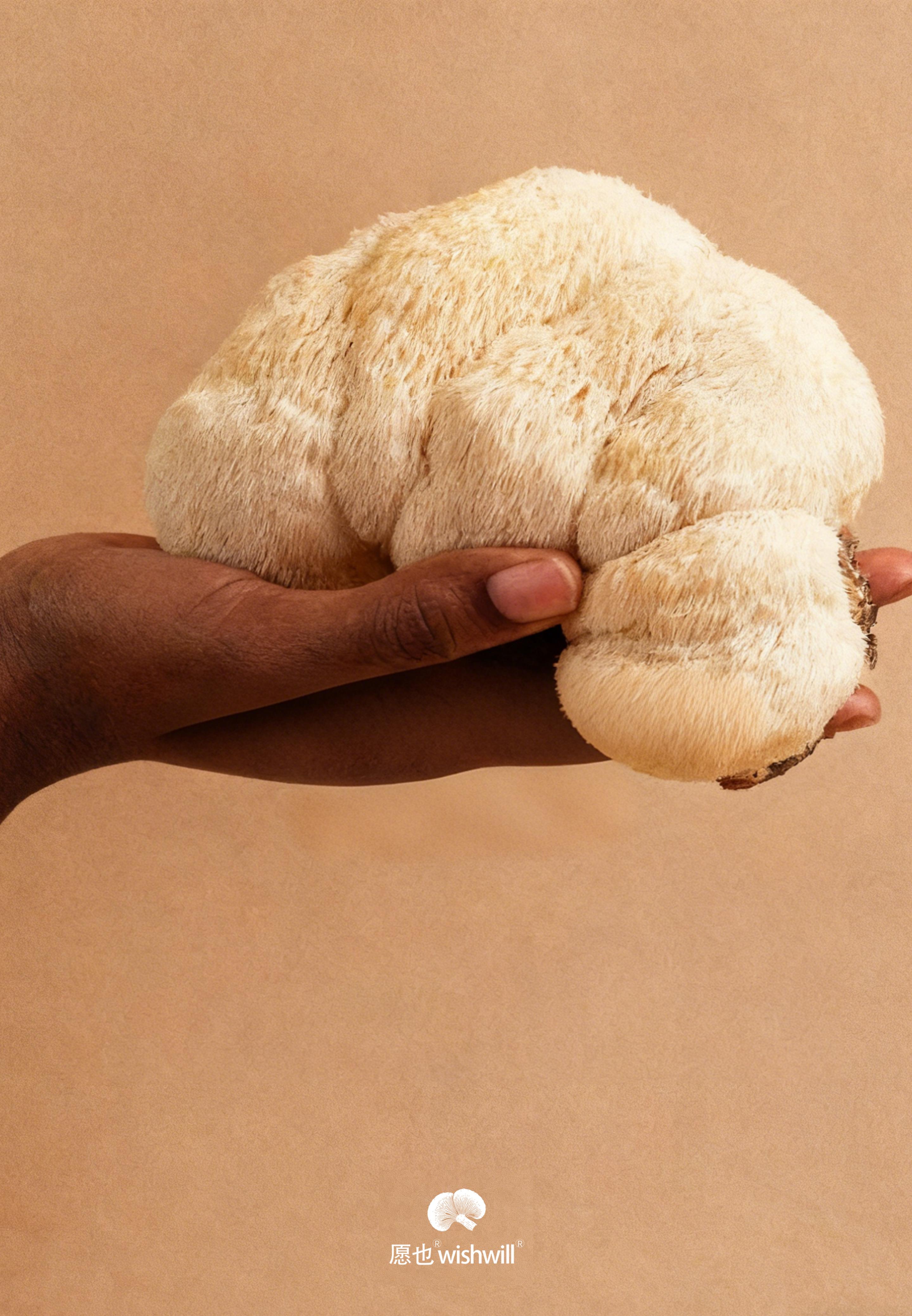 Added by user manually