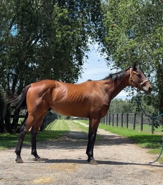 Added by user manually