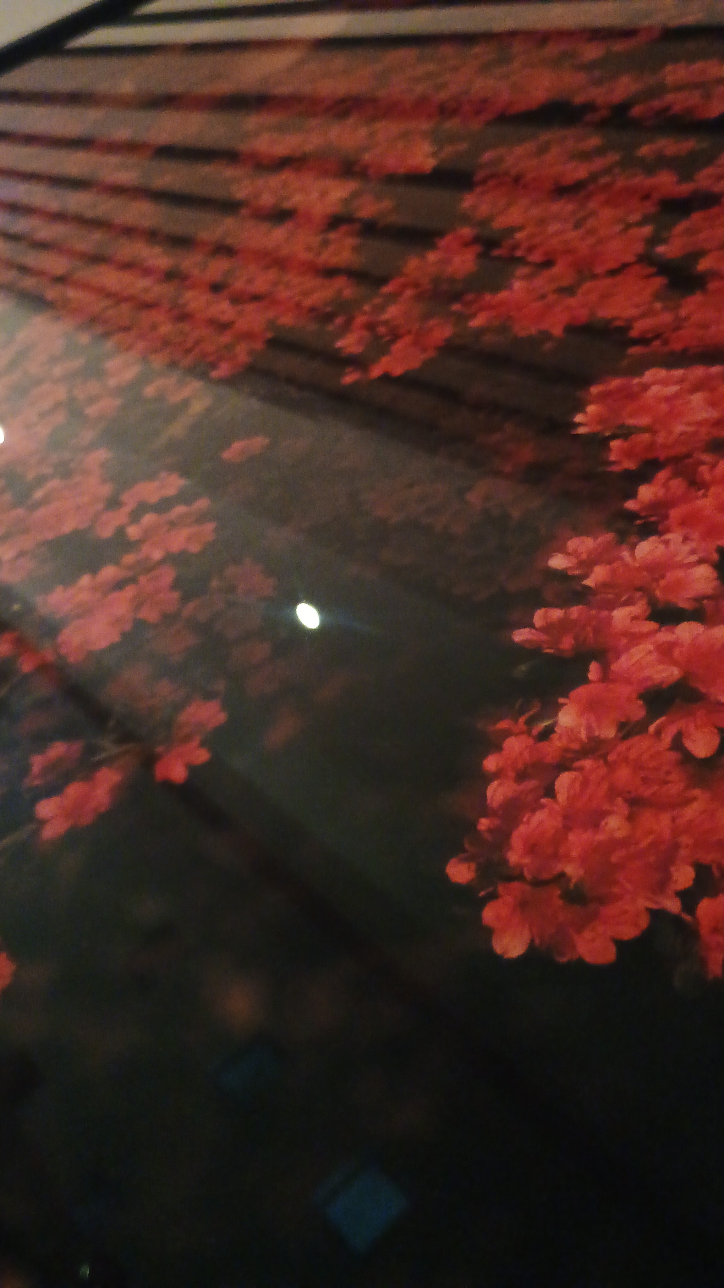 Added by user manually