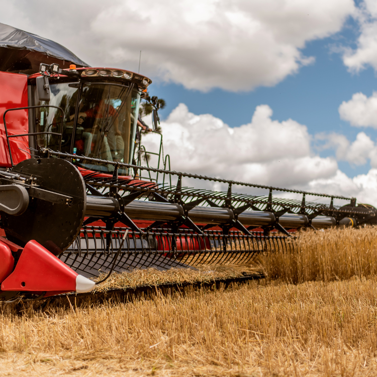 Added by user manually