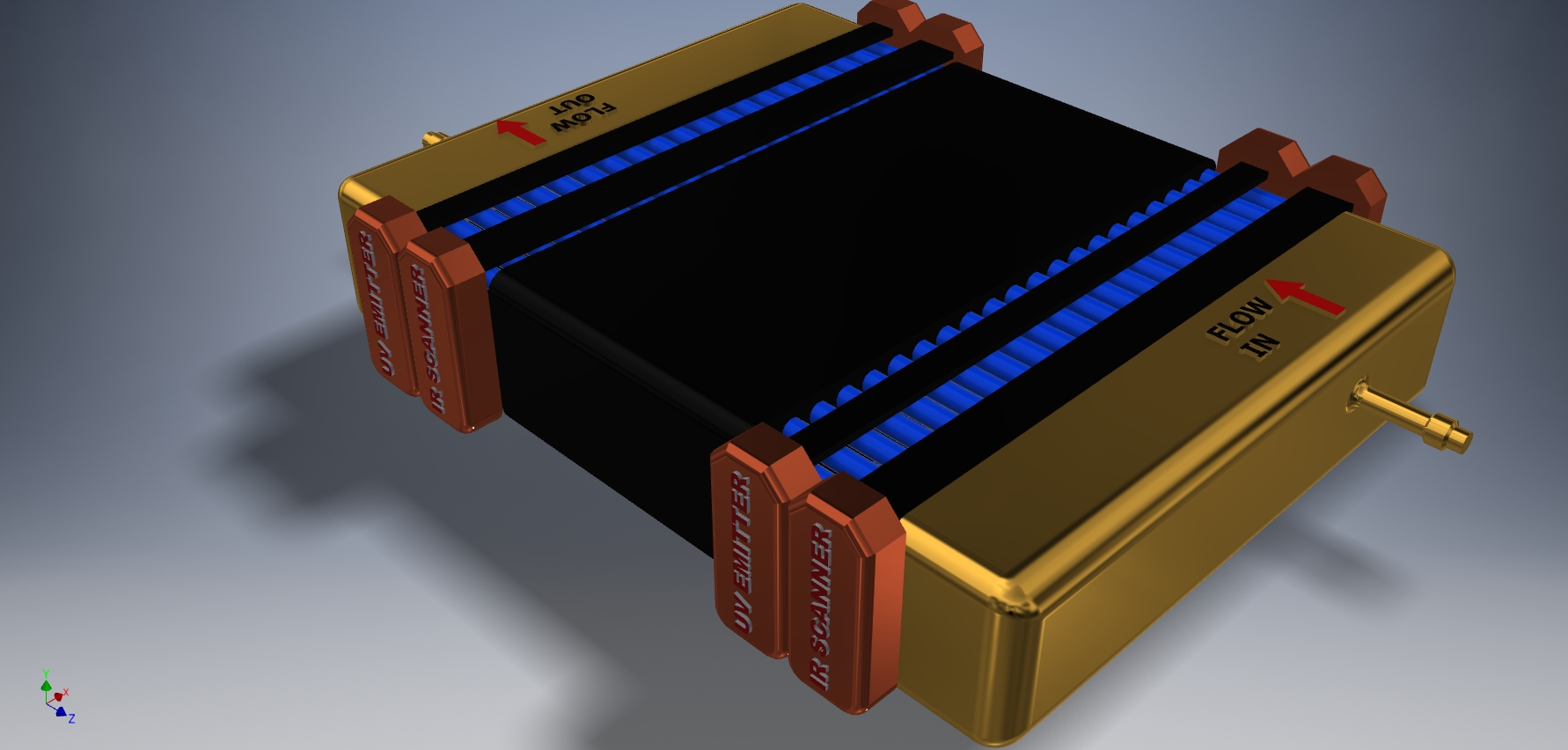 Elena Petrov, Director of Partnerships