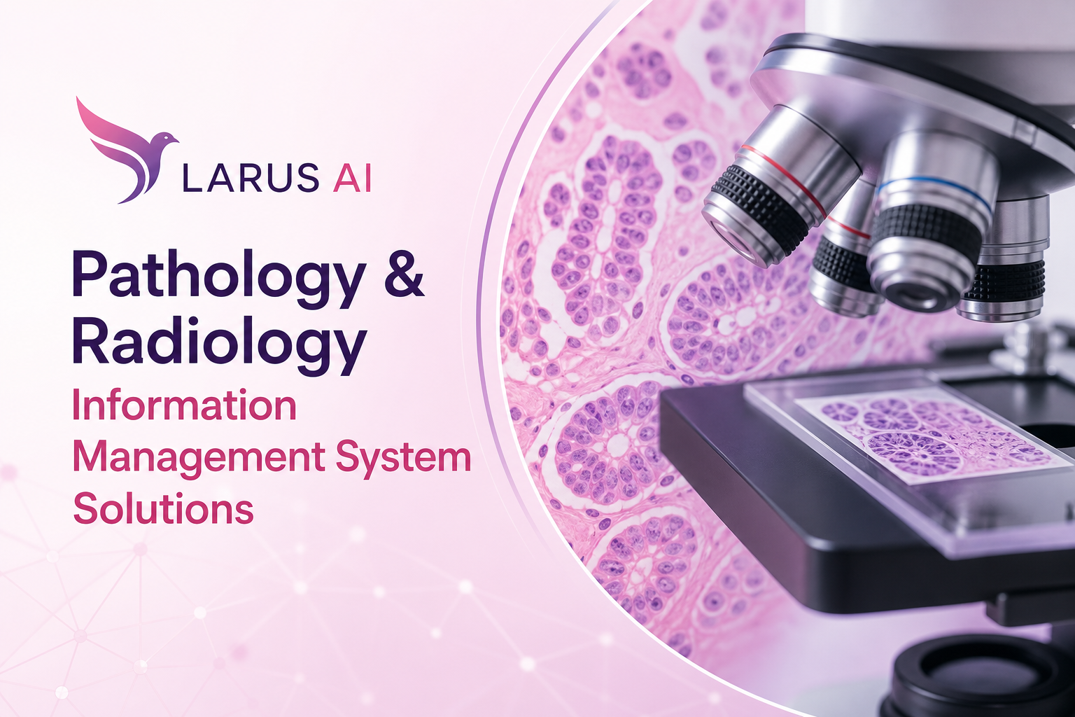 LARUS AI promotional banner in soft pink and purple tones with a left-aligned text block and logo, plus a detailed microscopy-style pathology image on the right; branding reads LARUS AI and Pathology & Radiology Information Management System Solutions
