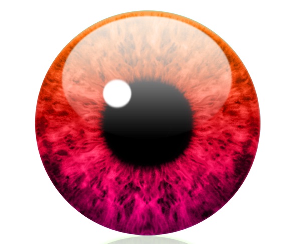 Added by user manually