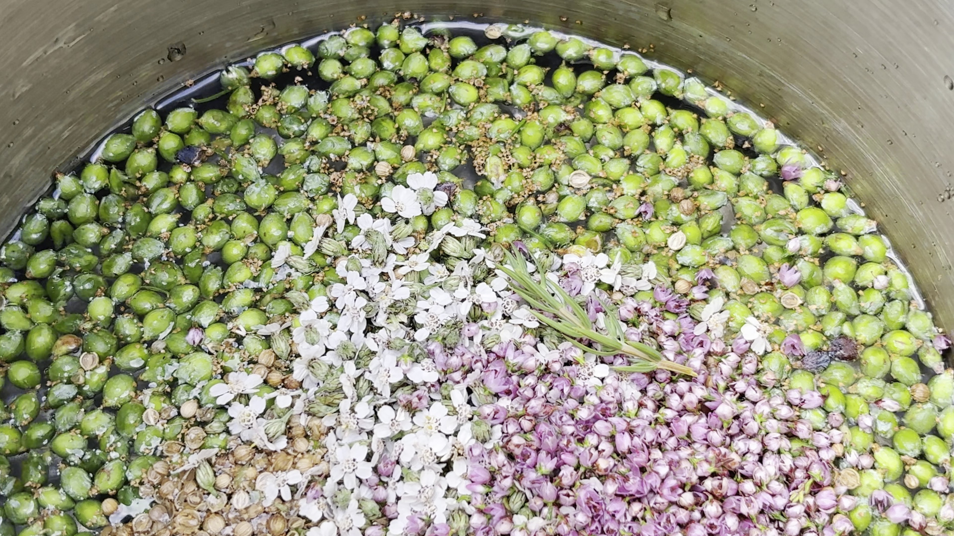 Top view inside the vessel where green juniper berries, white flowers, and pink blossoms combine