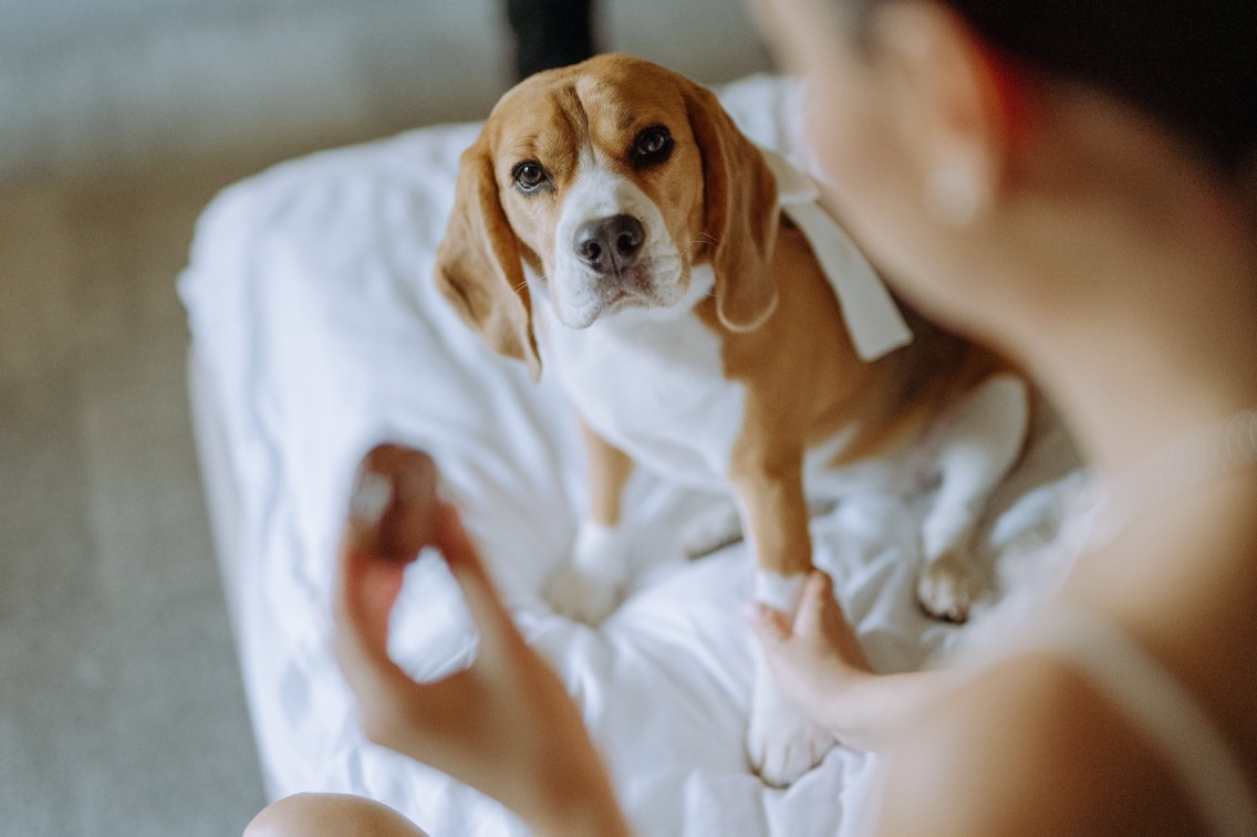 Added by user manually