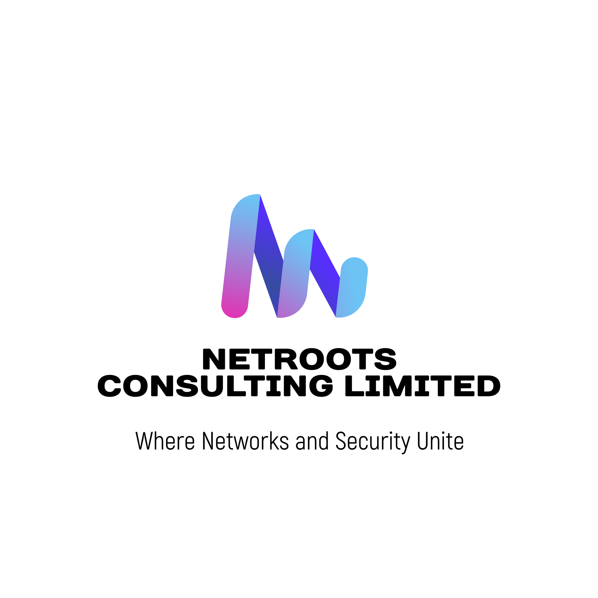 Netroots Consulting Limited company logo