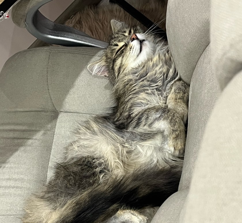 Added by user manually