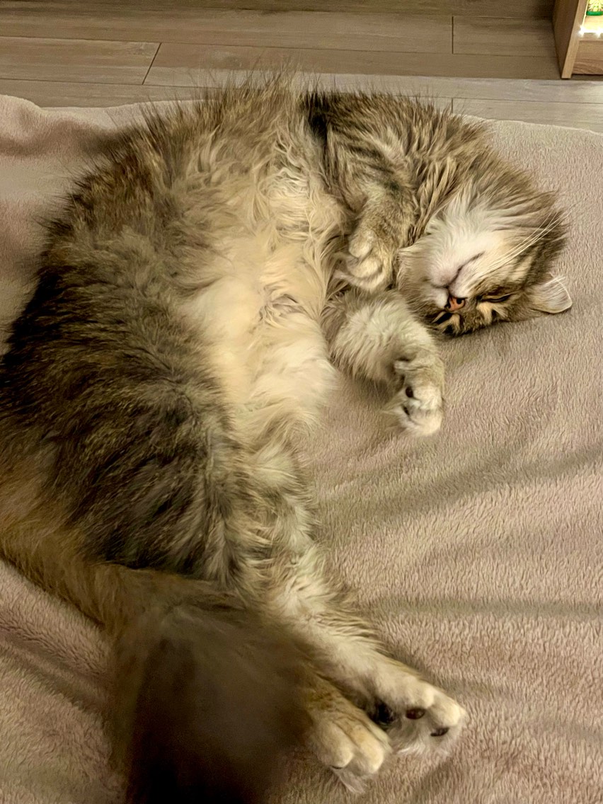 Added by user manually