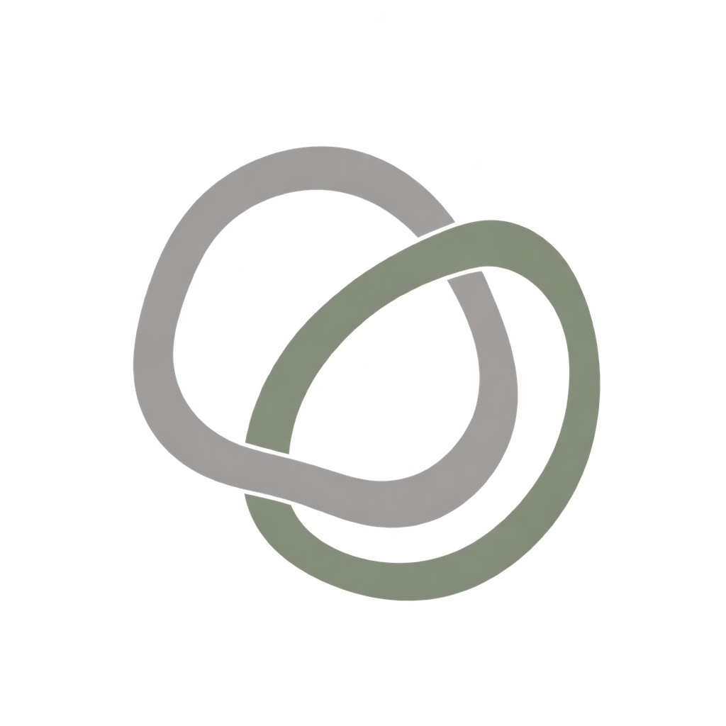 SilverLoom Studio logo