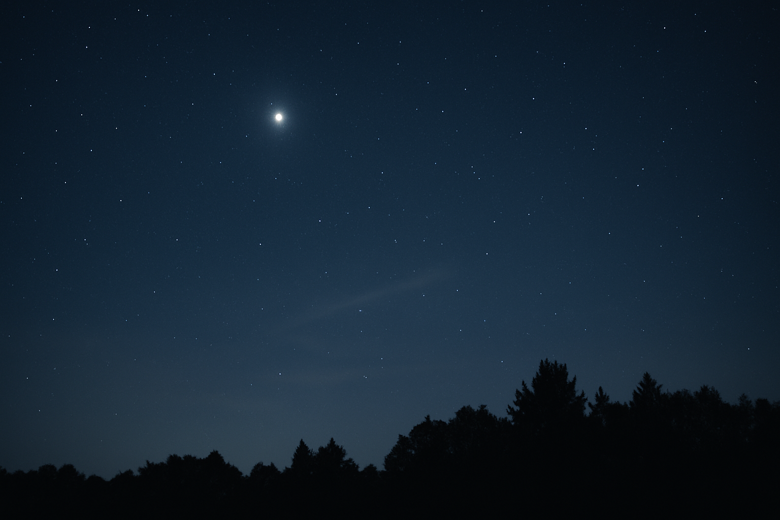 Night sky photograph with bright Jupiter above a dark treeline and faint cloud haze