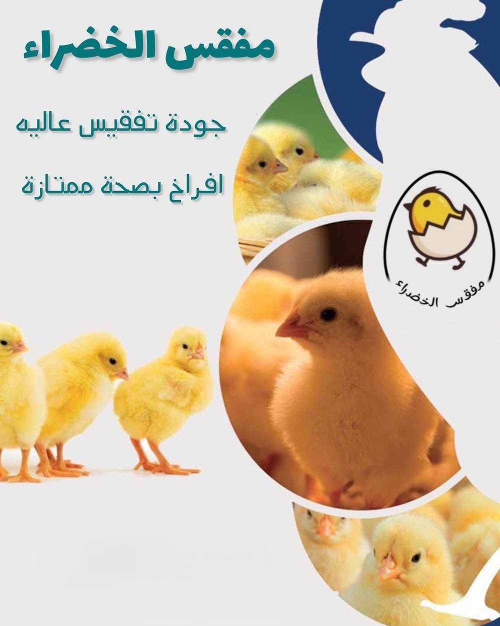 Added by user manually