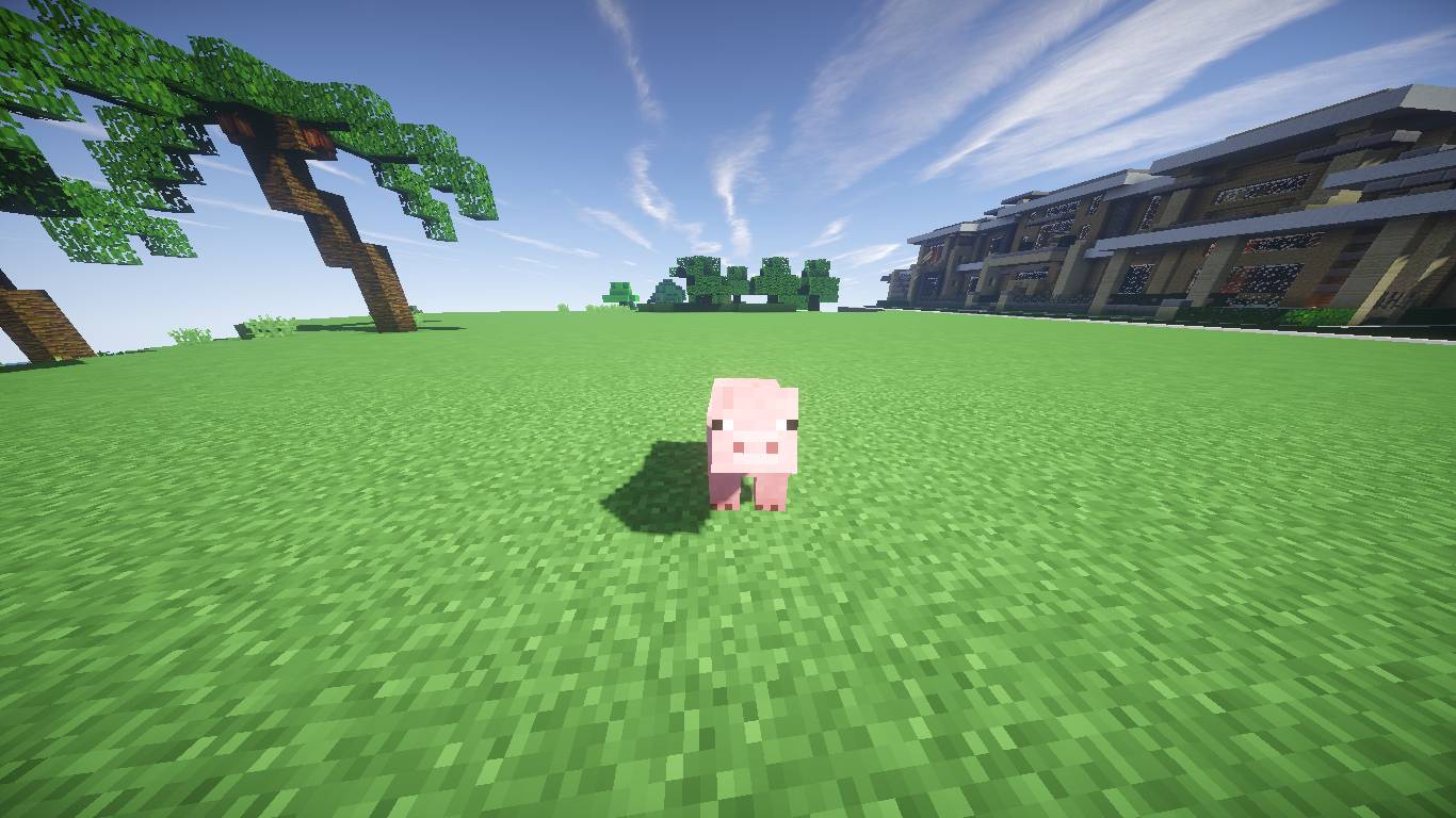 Added by user manually