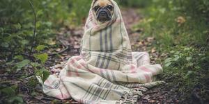 Person wrapped in a woven cream-colored blanket