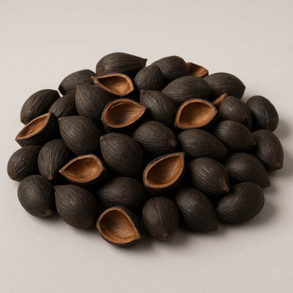 Palm kernel shells — clean, uniform size, brown-black, dry and ready for biofuel or industrial use