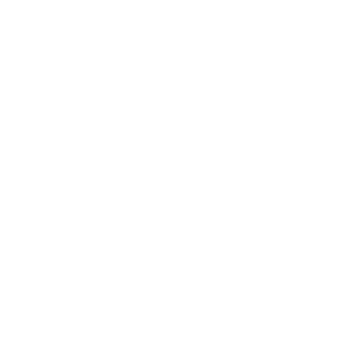 MNFST Foundation logo