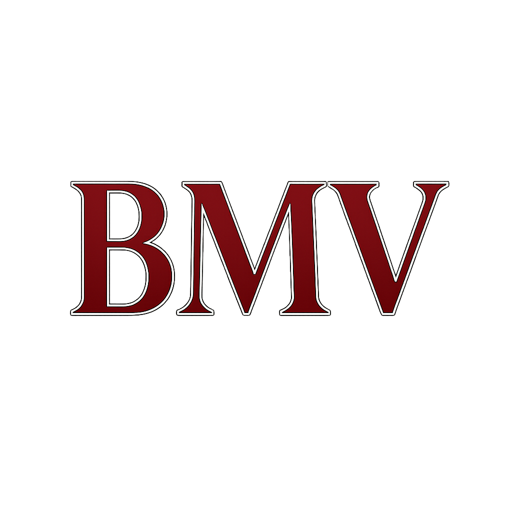 BMV Management logo