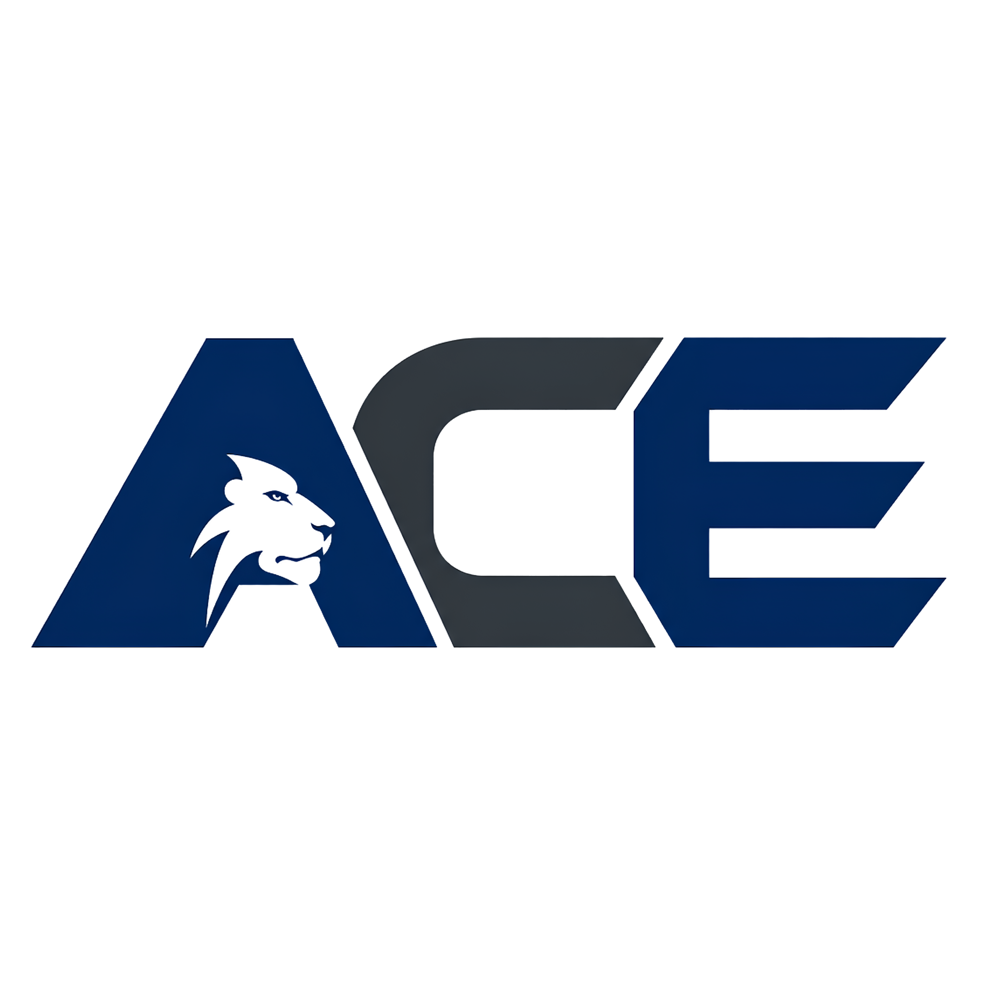 ACE logo