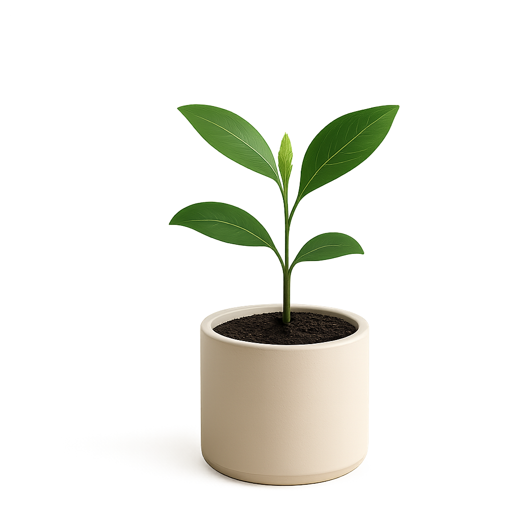 Built for growing brands trust marker image