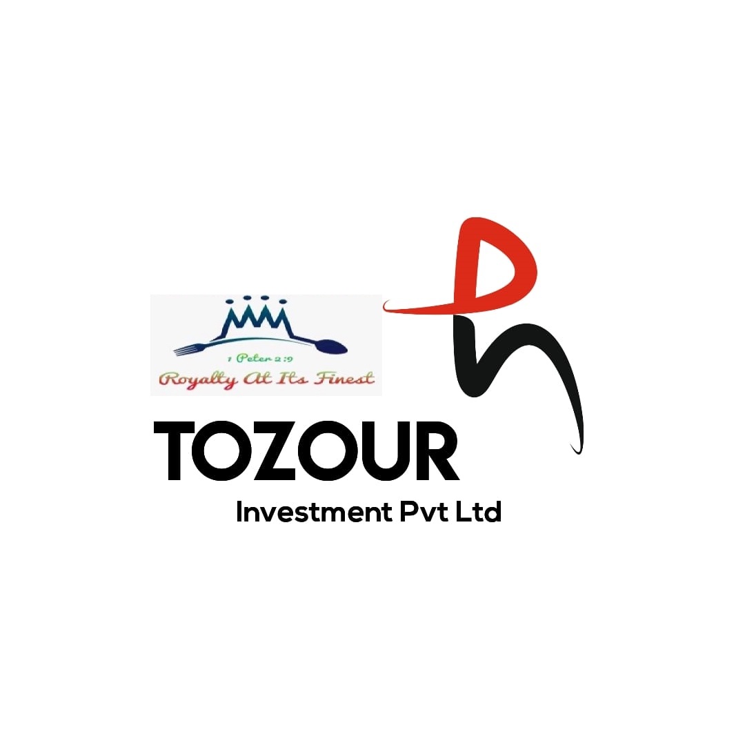 Tozour Investment Pvt Ltd logo