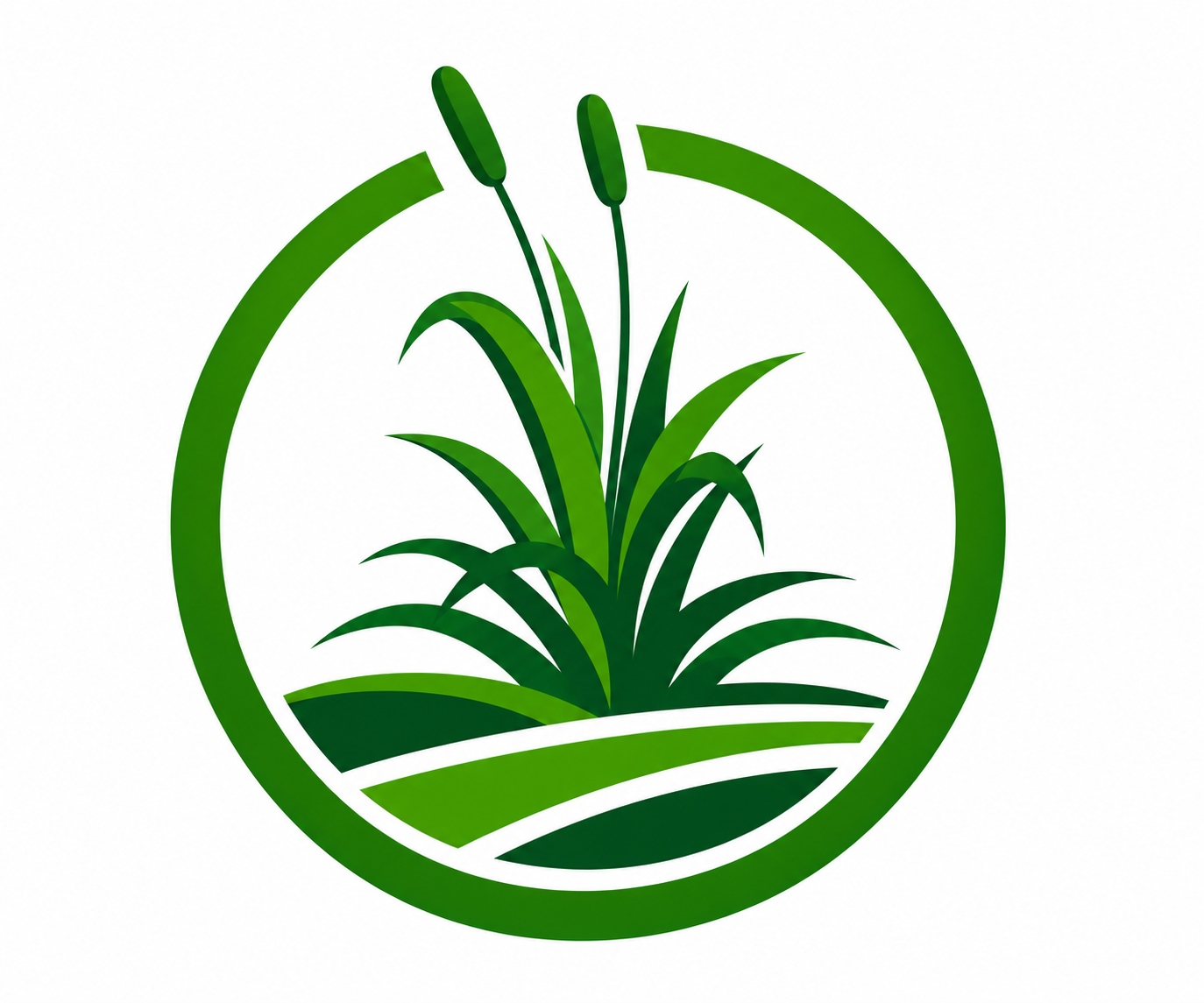 Added by user manually